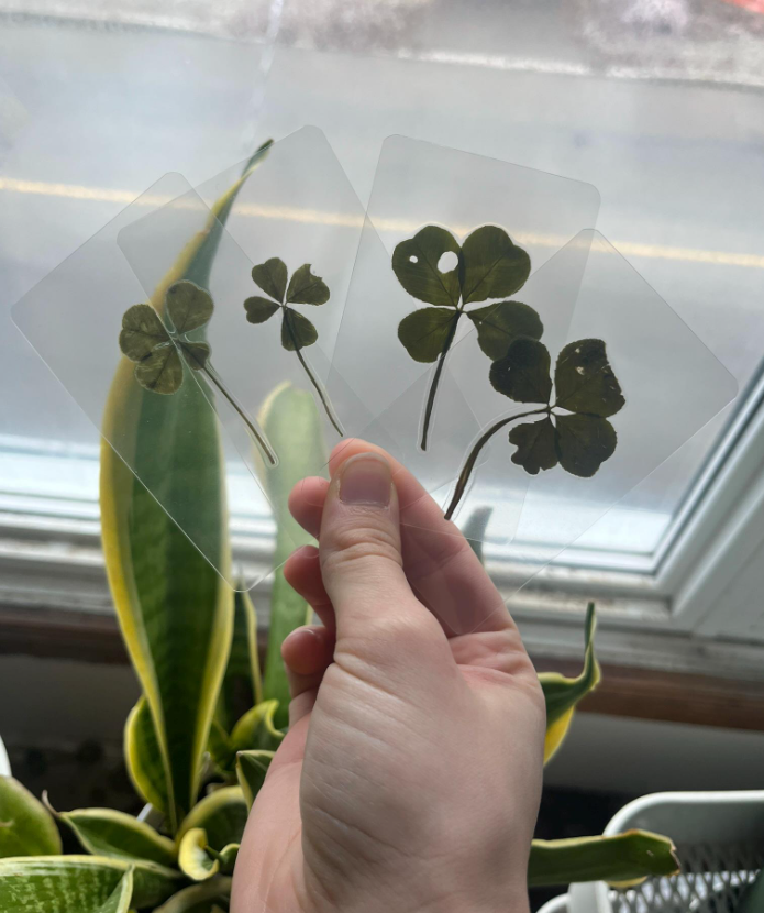 Imperfect four-leaf clover