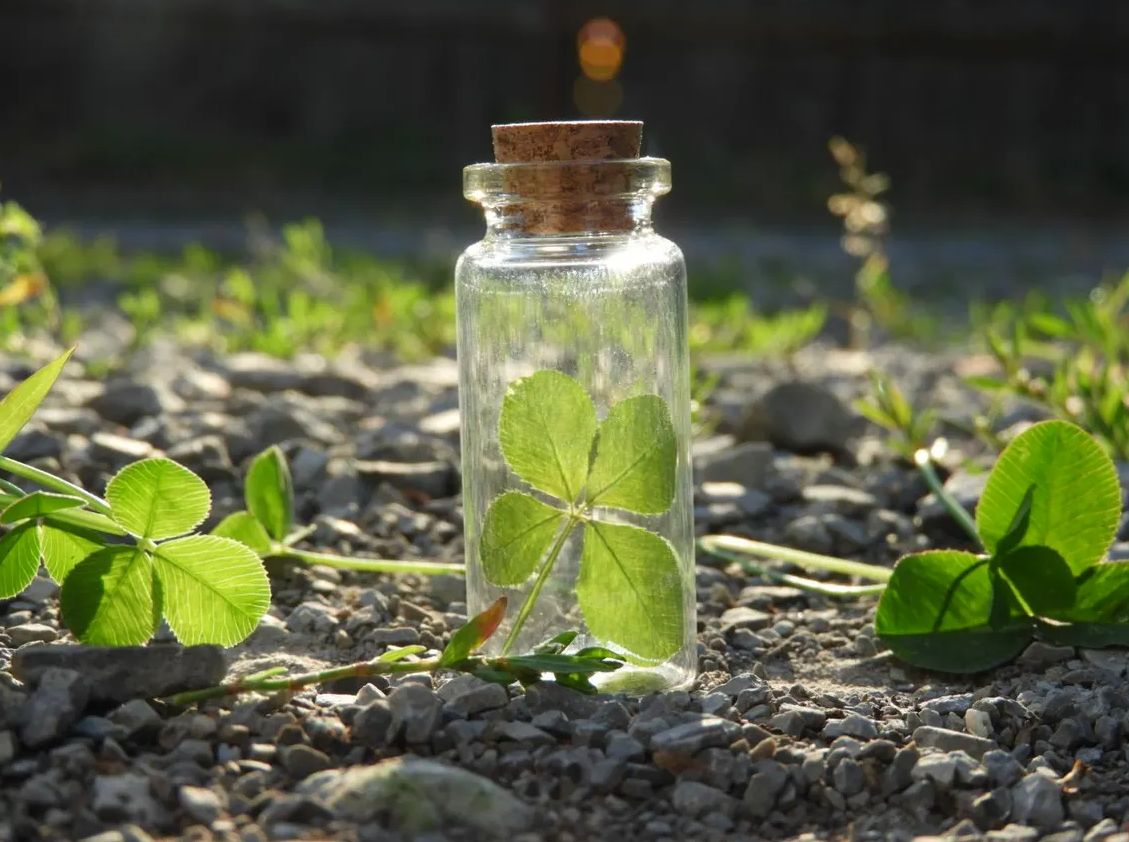 Four-leaf clover jewellery and jar